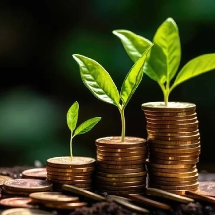mutual funds